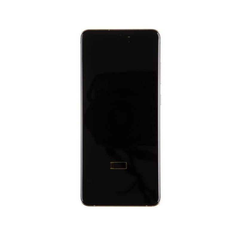 Samsung G988 Galaxy S20 Ultra White - Výměna LCD displeje