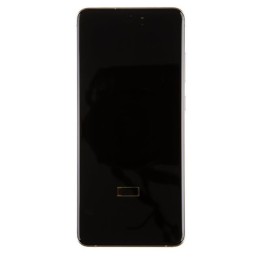 Samsung G988 Galaxy S20 Ultra White - Výměna LCD displeje